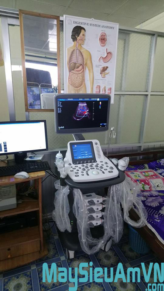 tranh giải phẫu 3d hcm