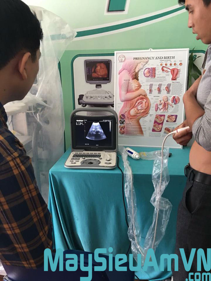 tranh 2d giải phẫu y khoa