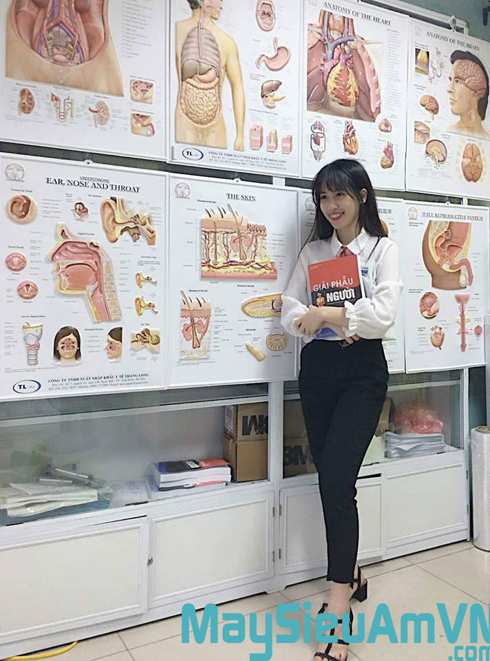 tranh giải phẫu y khoa 3d