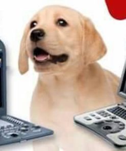 máy siêu âm thú y