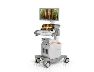 máy siêu âm siemens